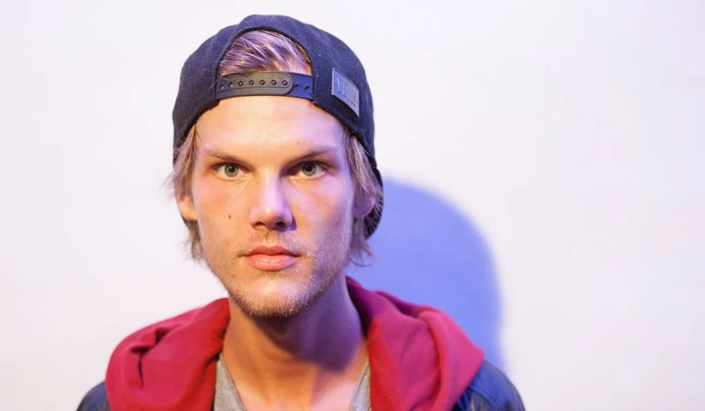 Avicii Net Worth